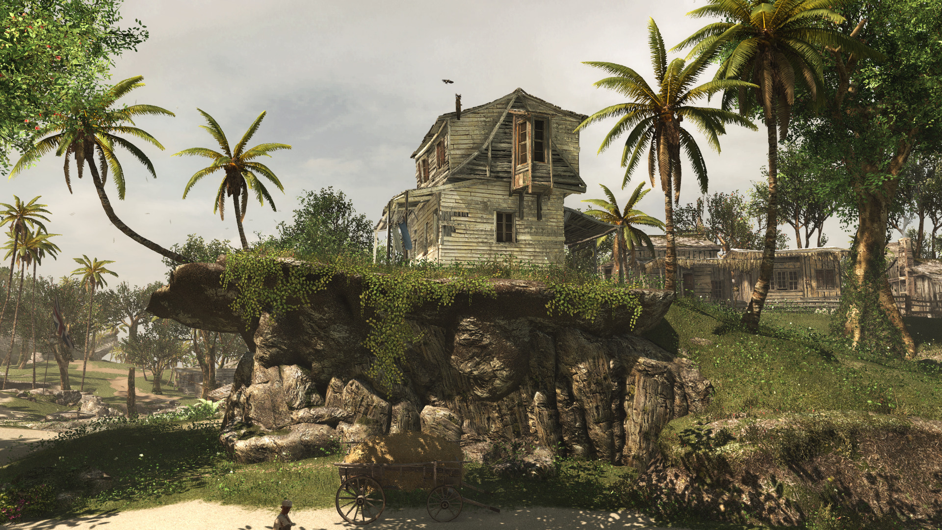 blackflag-25.jpg