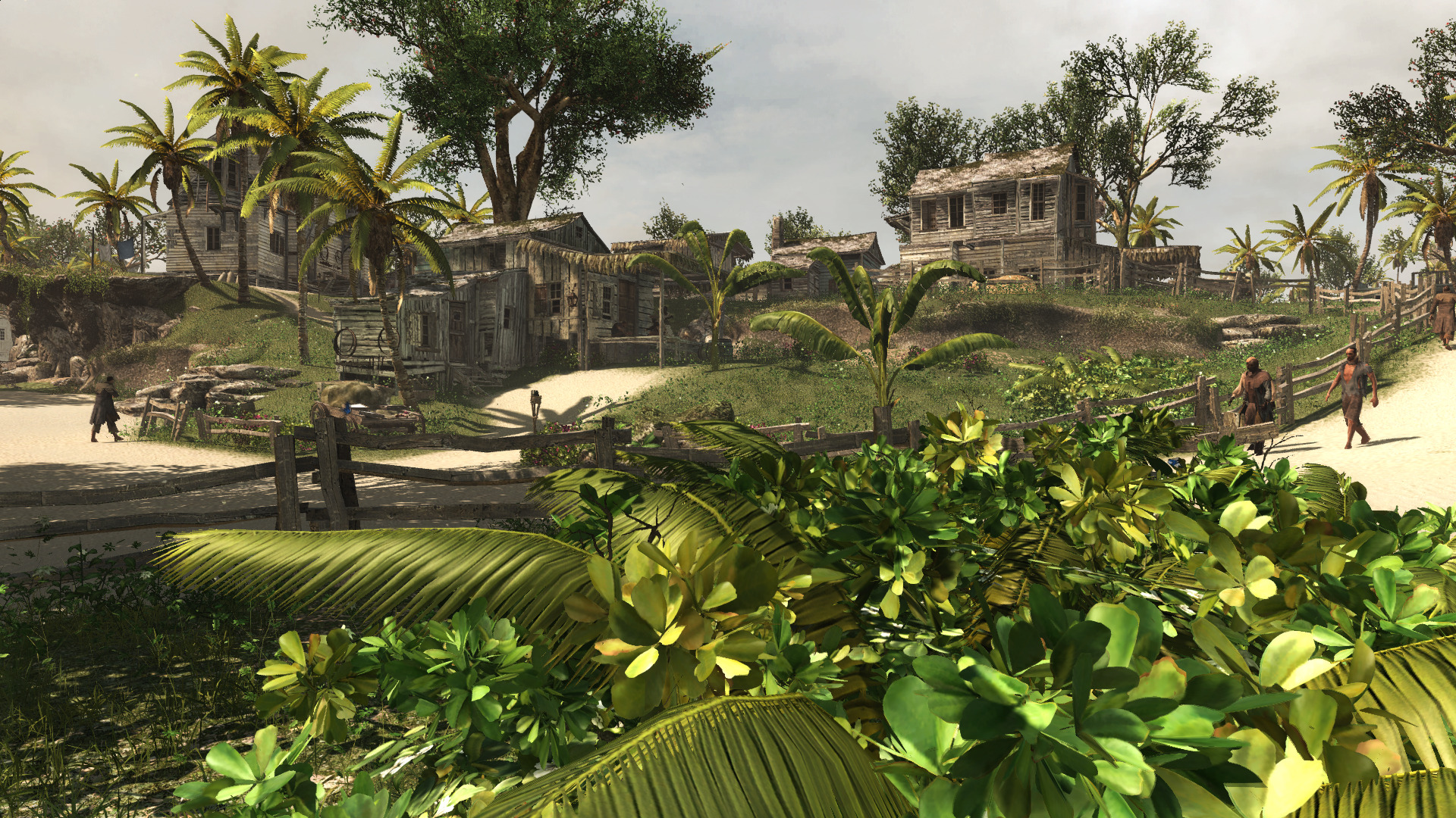 blackflag-26.jpg