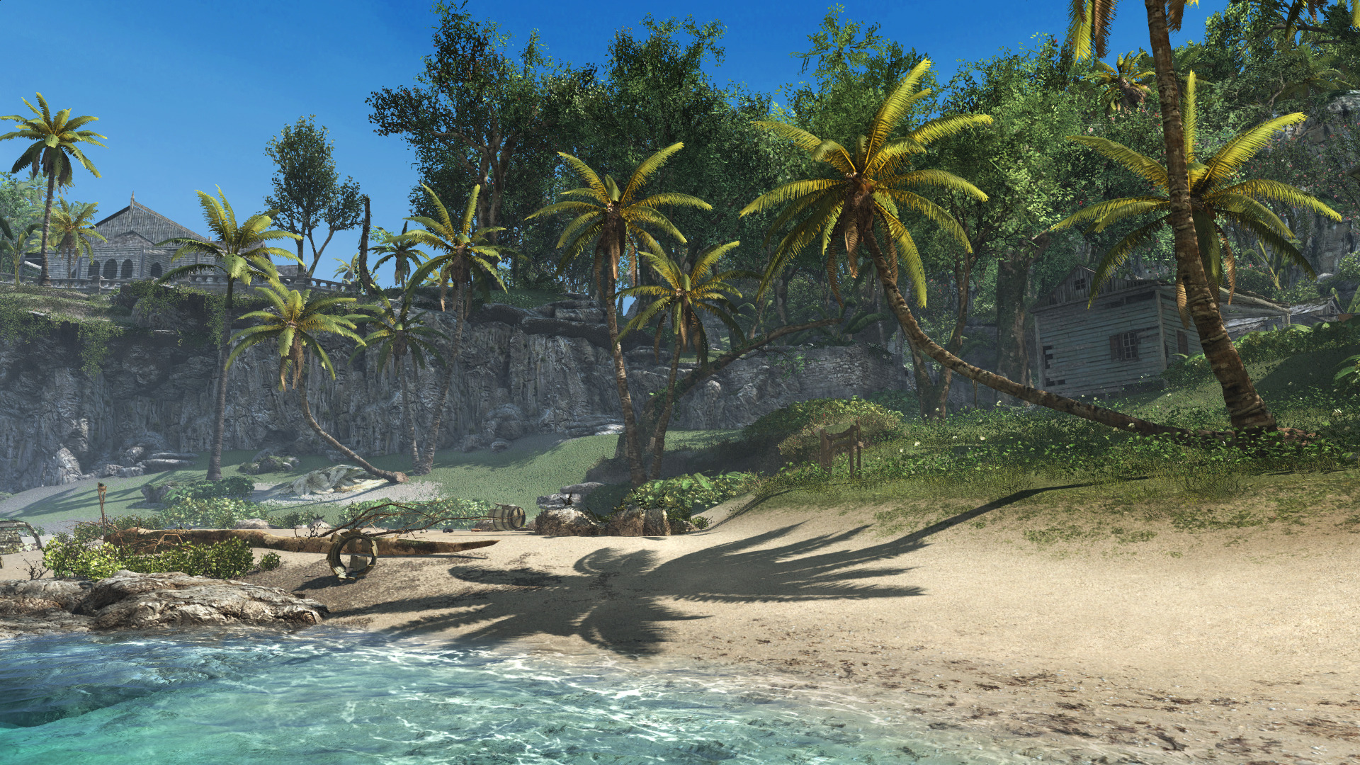 blackflag-32.jpg
