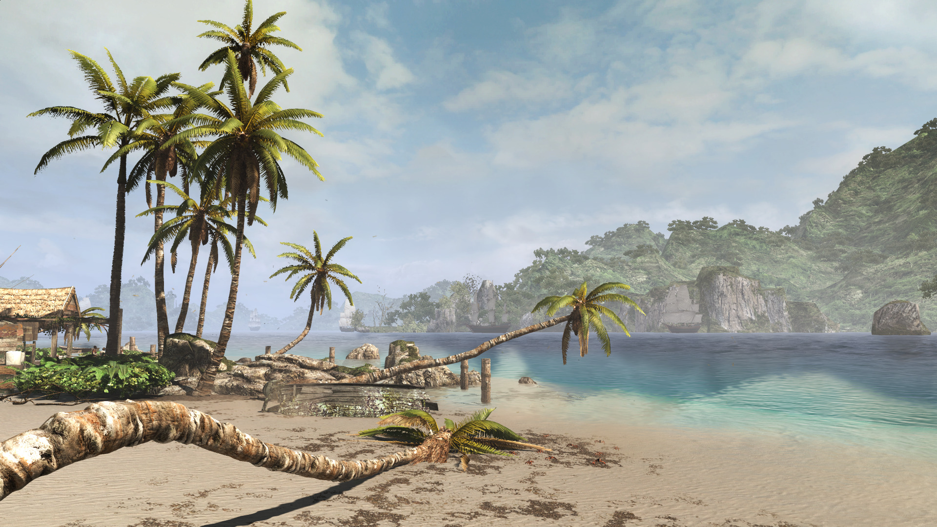 blackflag-7.jpg