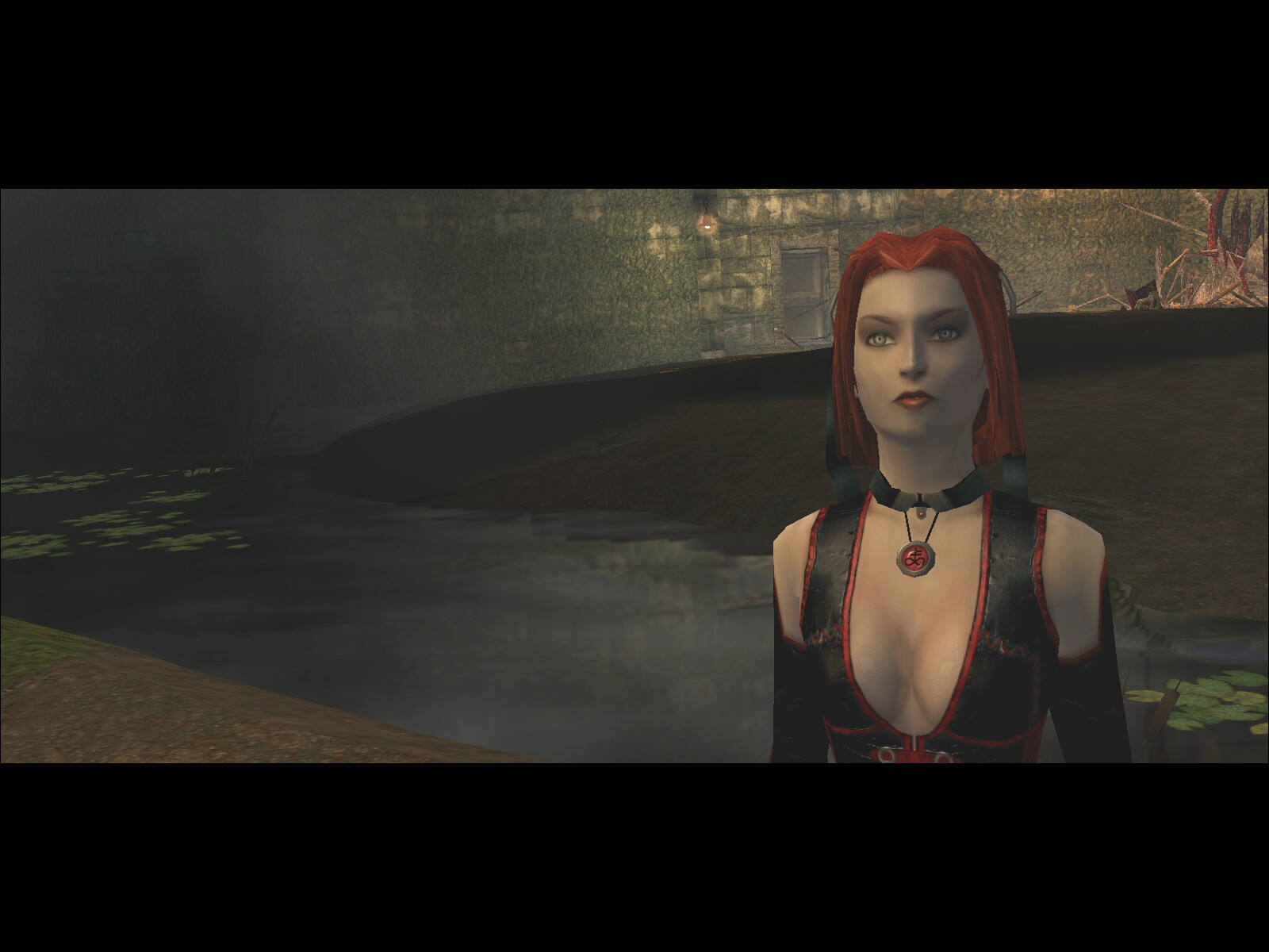 bloodrayne86.jpg