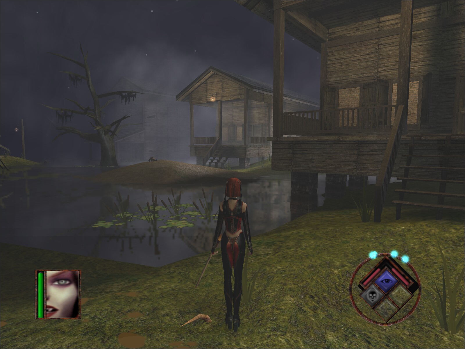 bloodrayne88.jpg