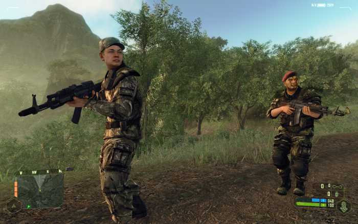 crysis50a.png