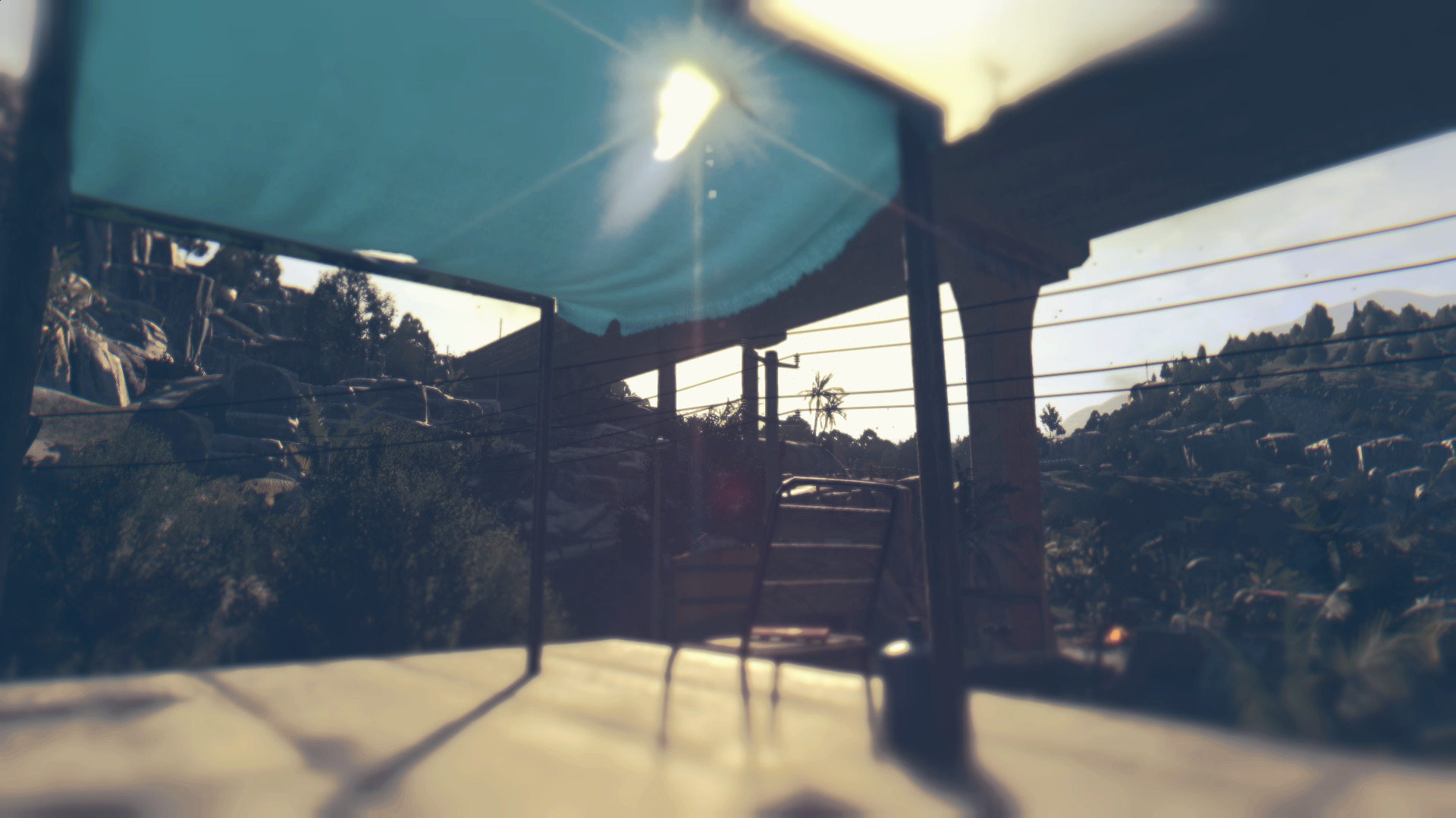 dlight-23.jpg