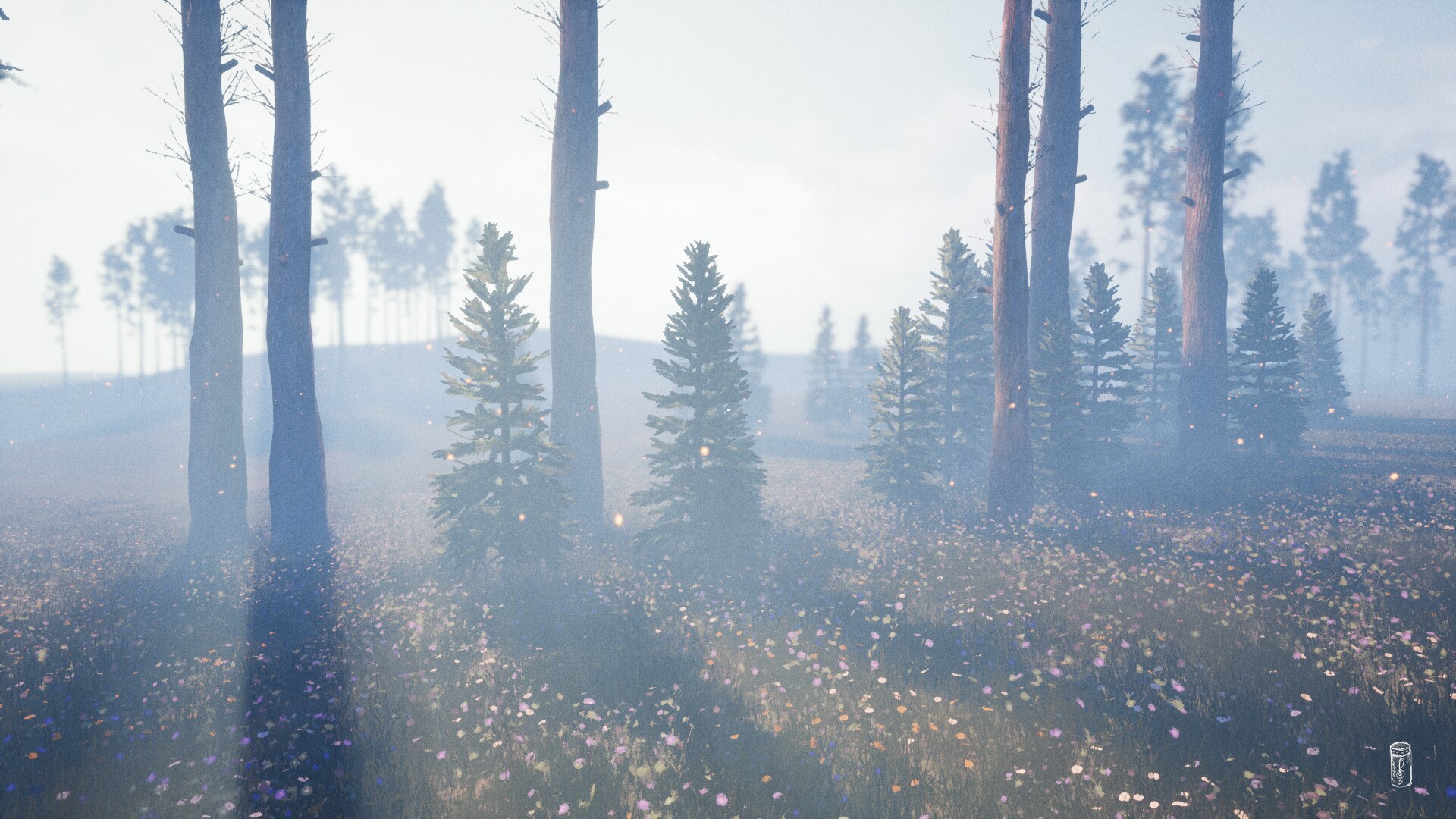 graydawn89.jpg