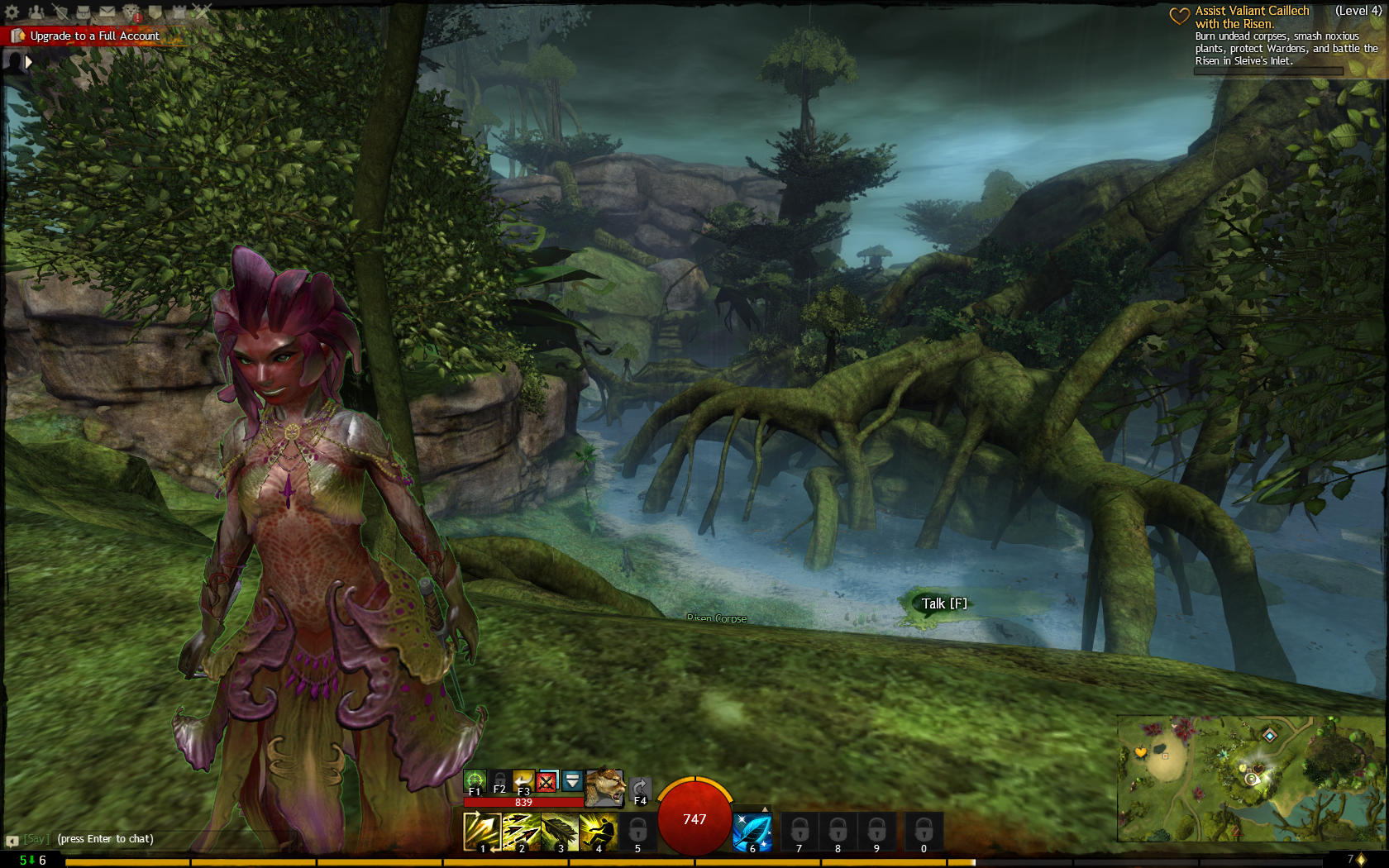 guildwars105.jpg