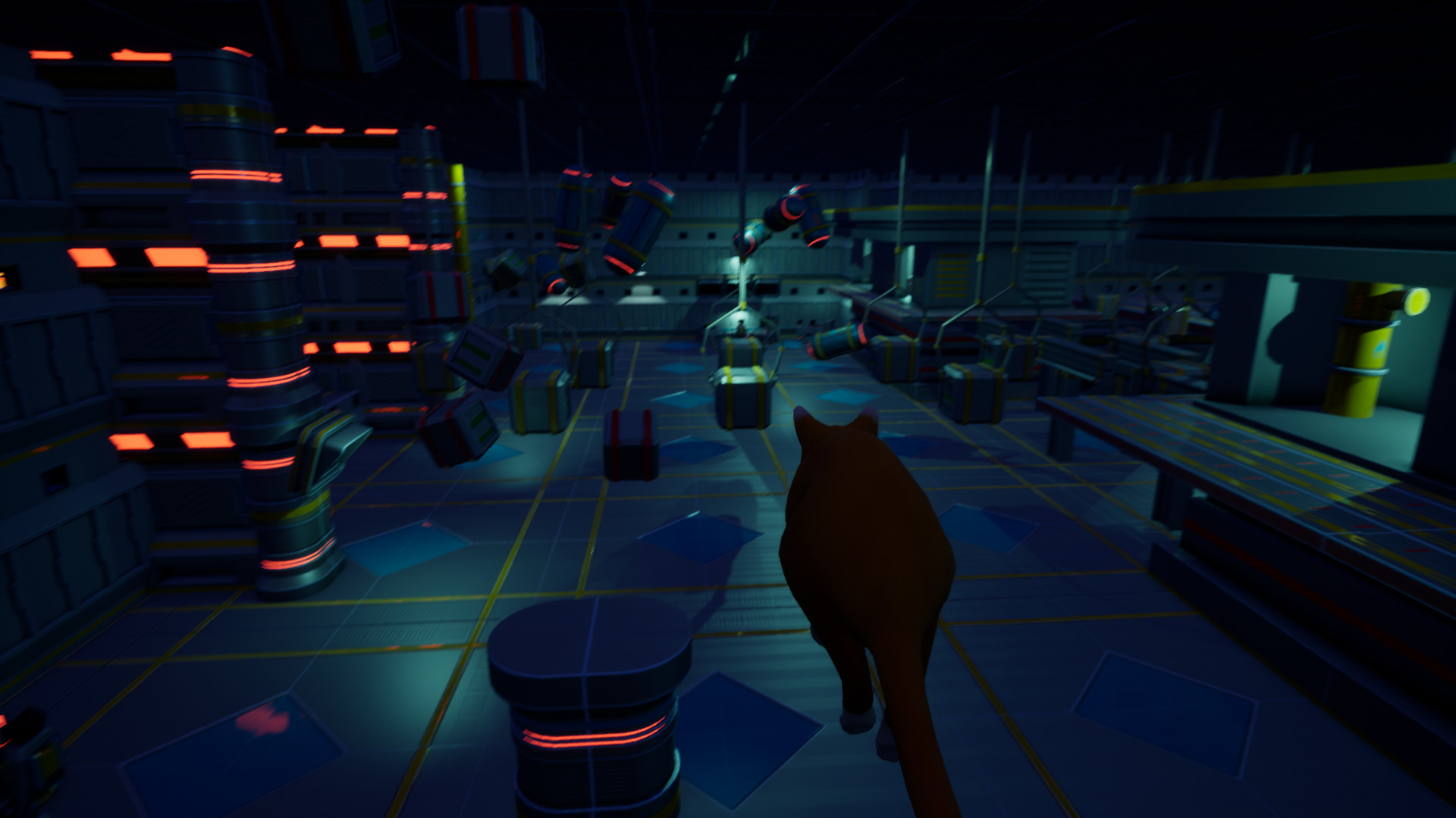 meowspace-15.jpg