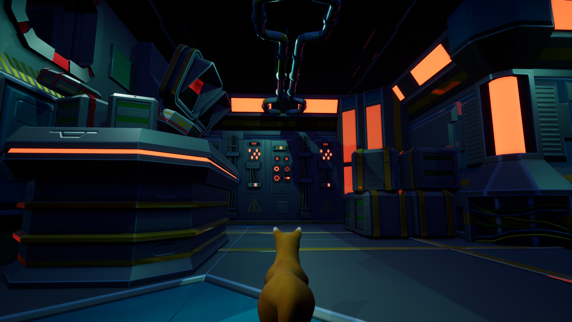 meowspace-3.jpg