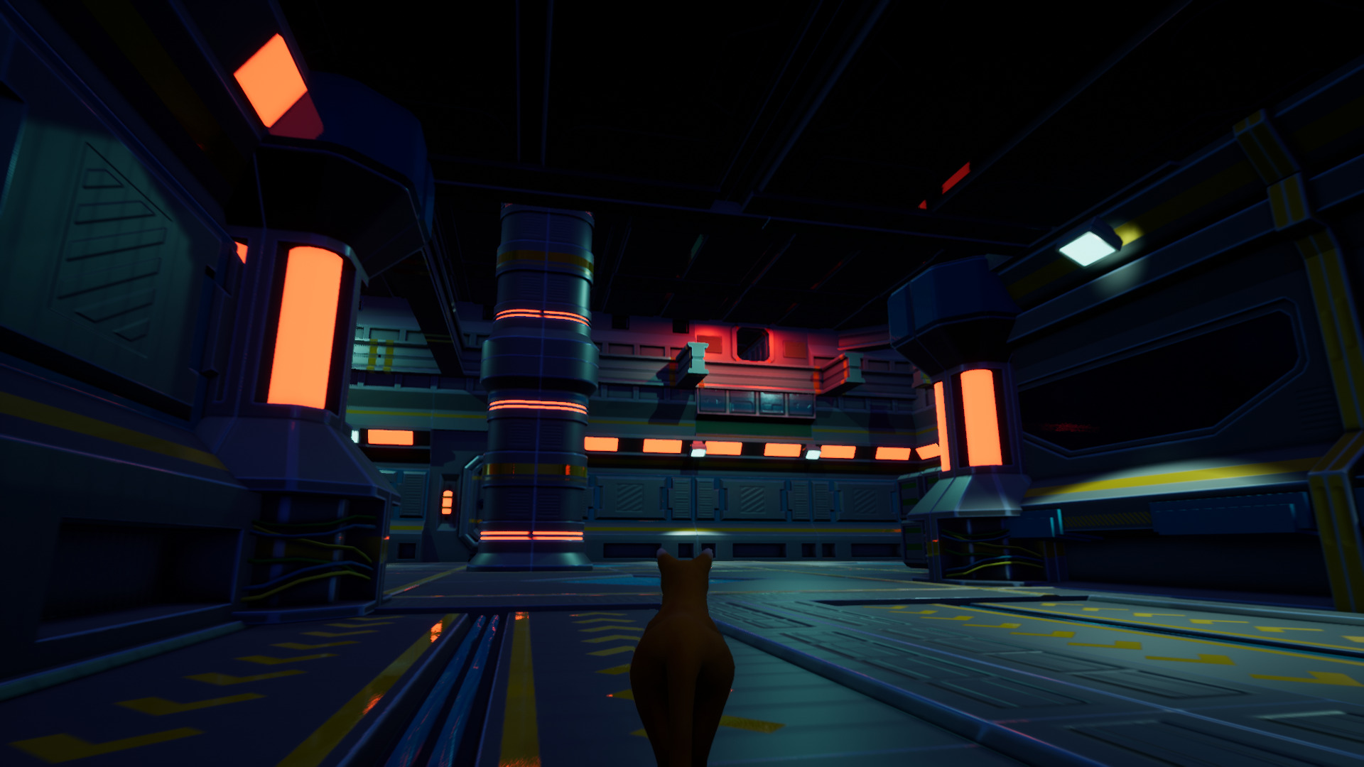 meowspace-5.jpg
