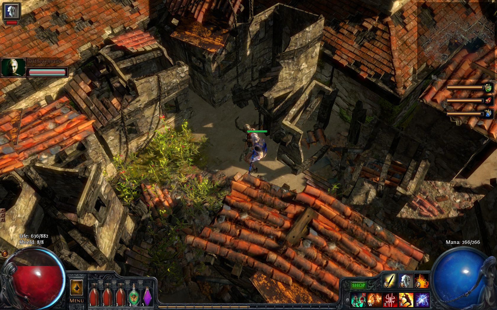 pathofexile80.png