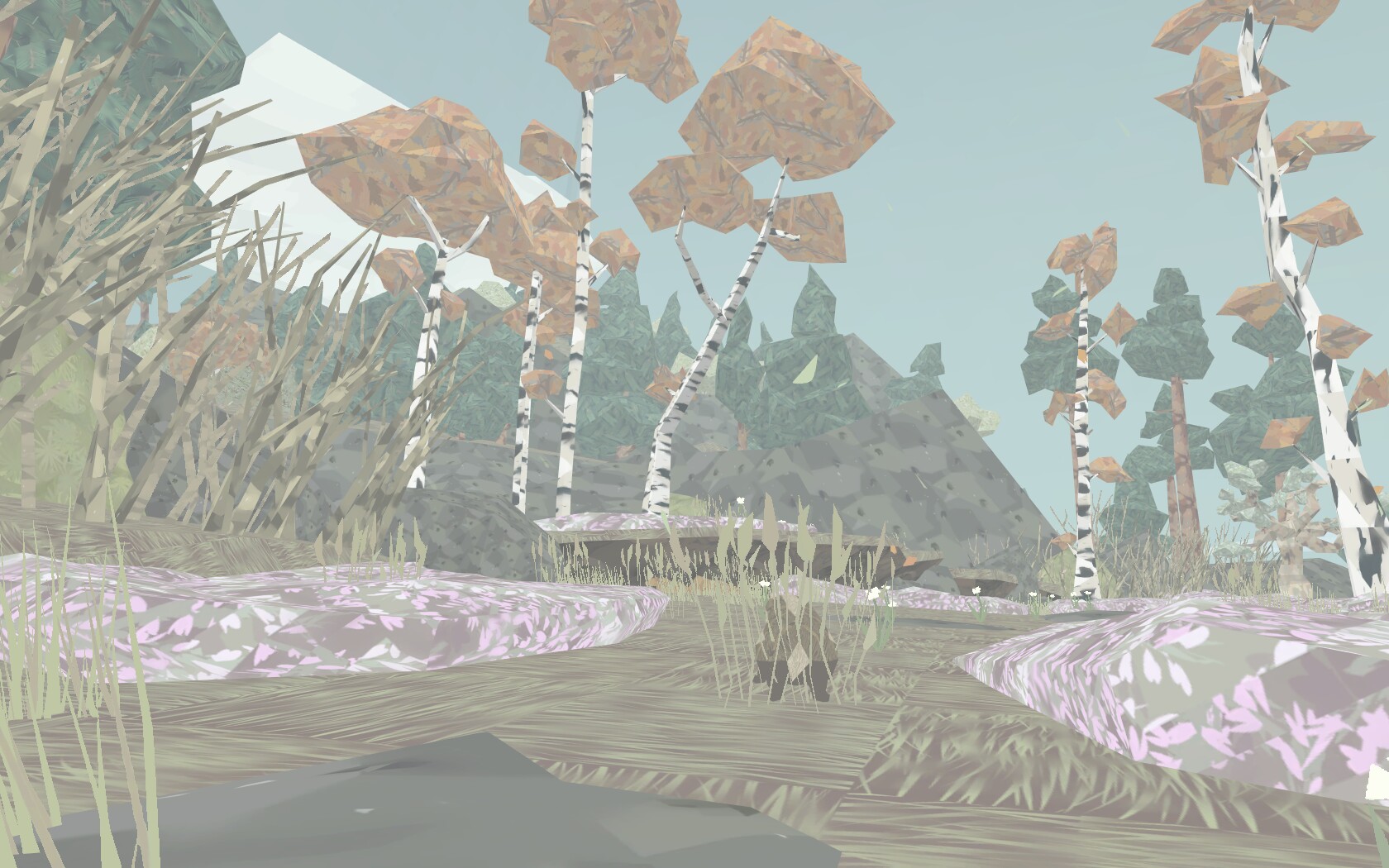 shelter25.jpg