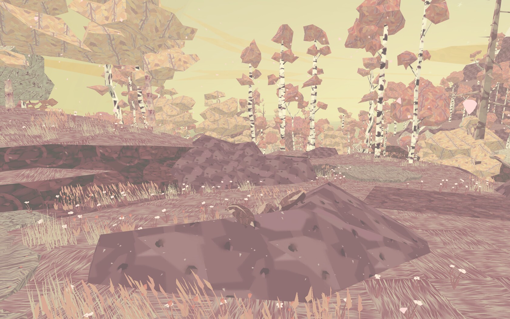 shelter26.jpg