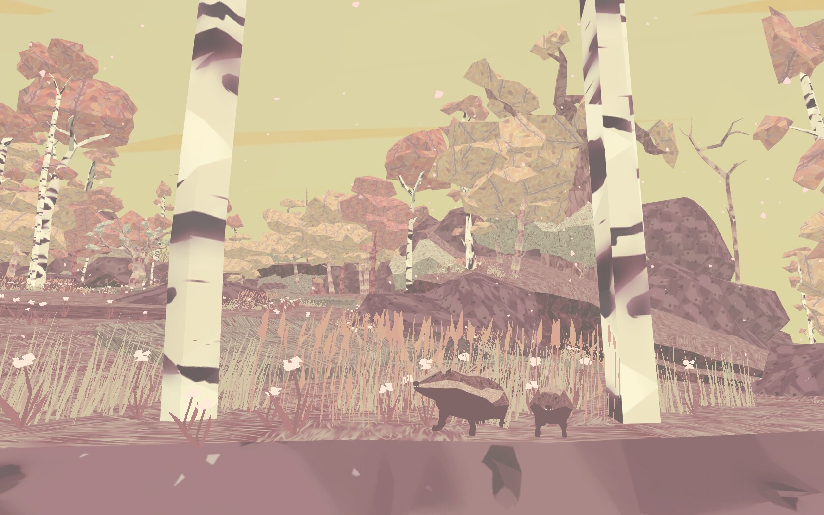 shelter31.jpg