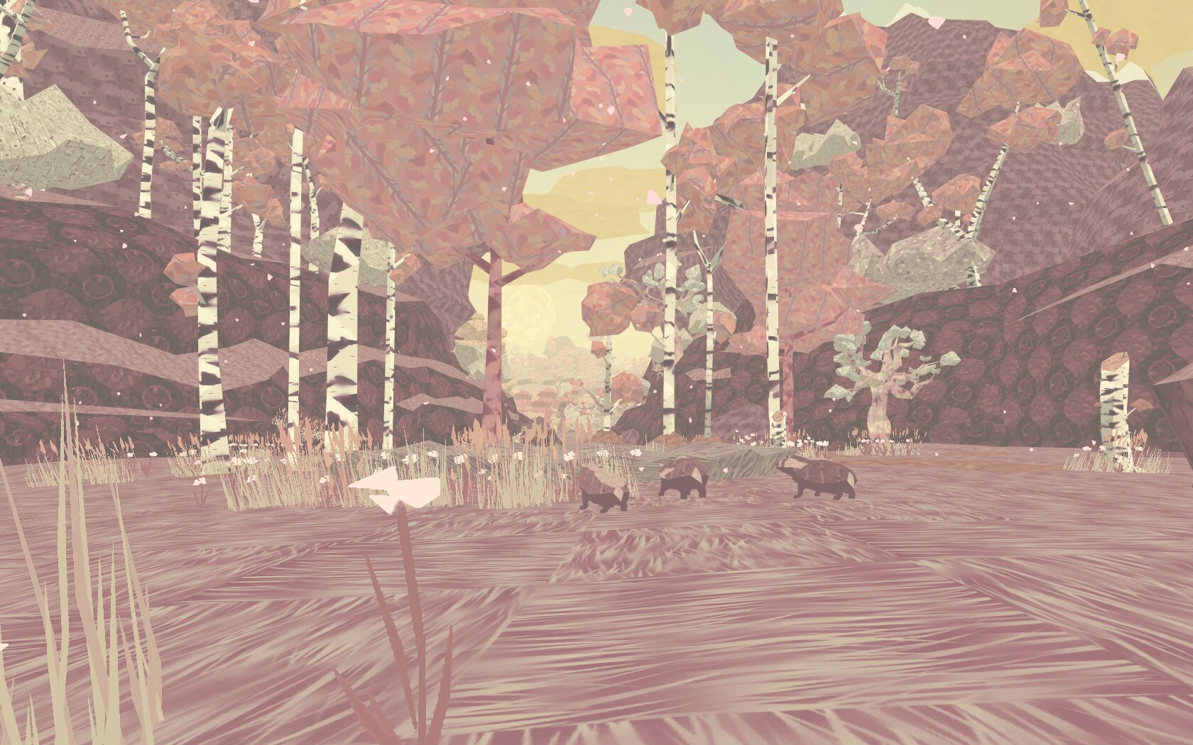shelter33.jpg