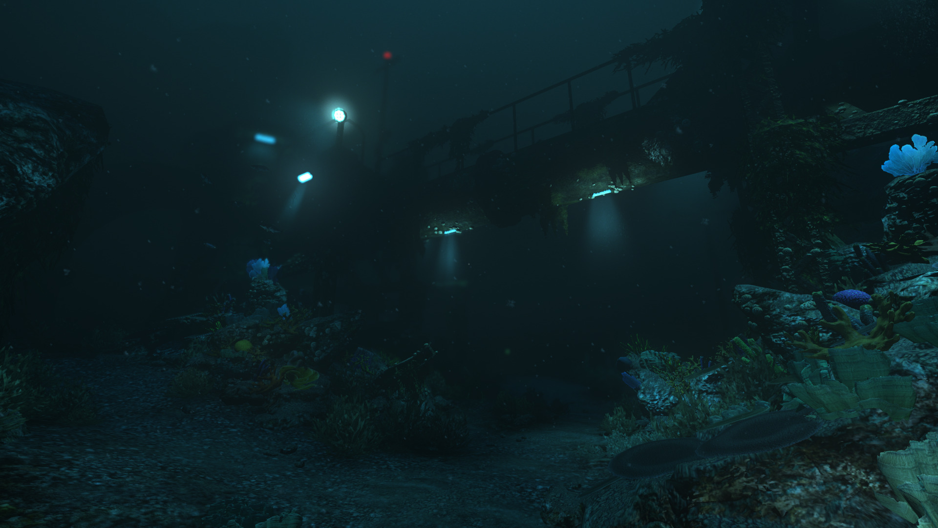 soma-10.jpg