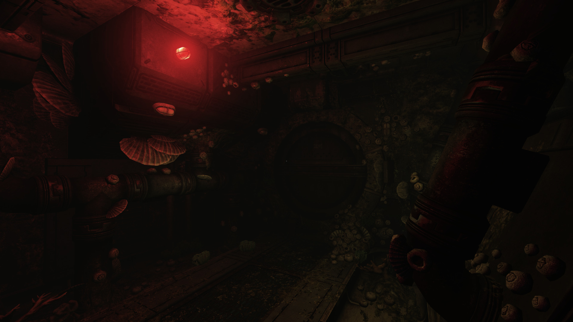 soma-12.jpg