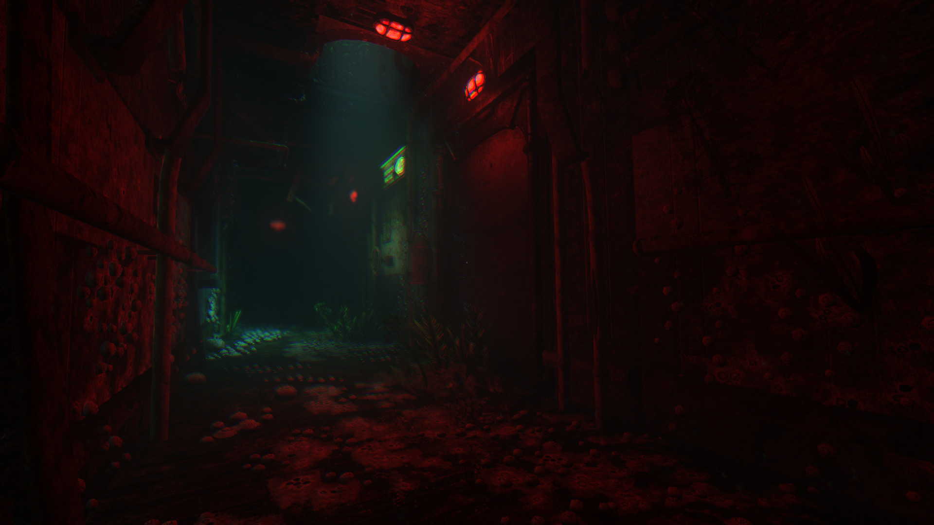 soma-13.jpg