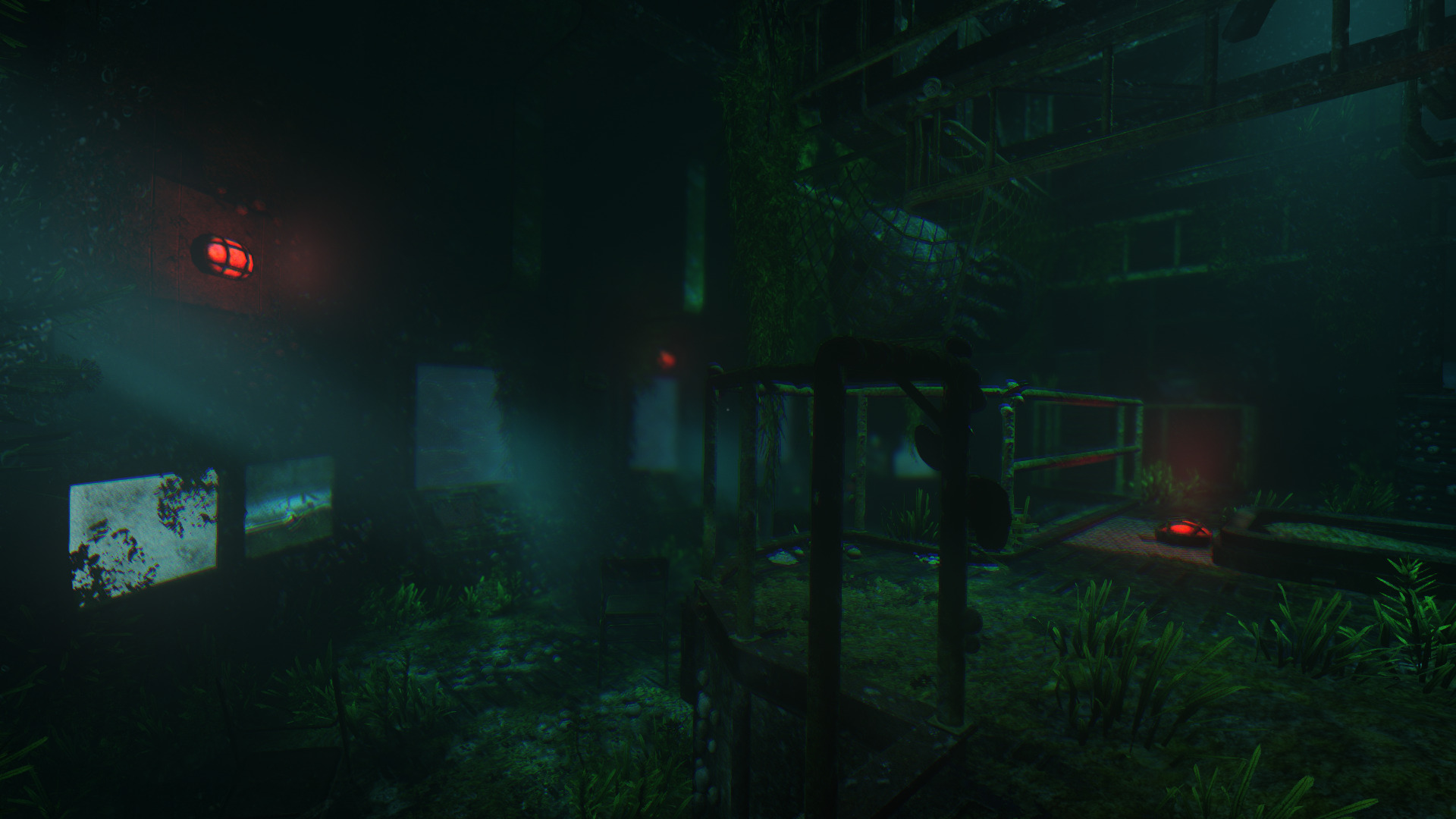 soma-15.jpg