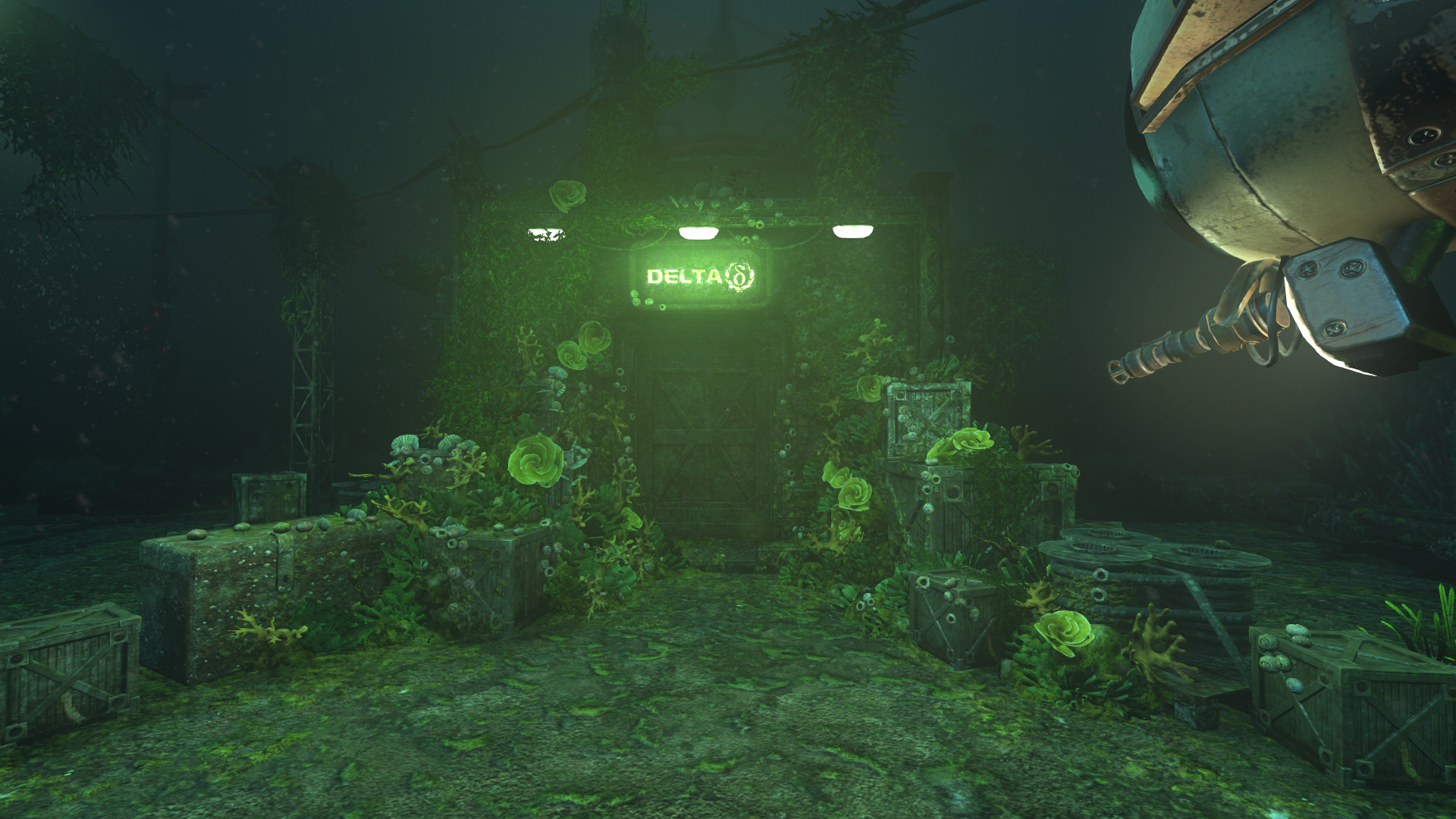 soma-17.jpg
