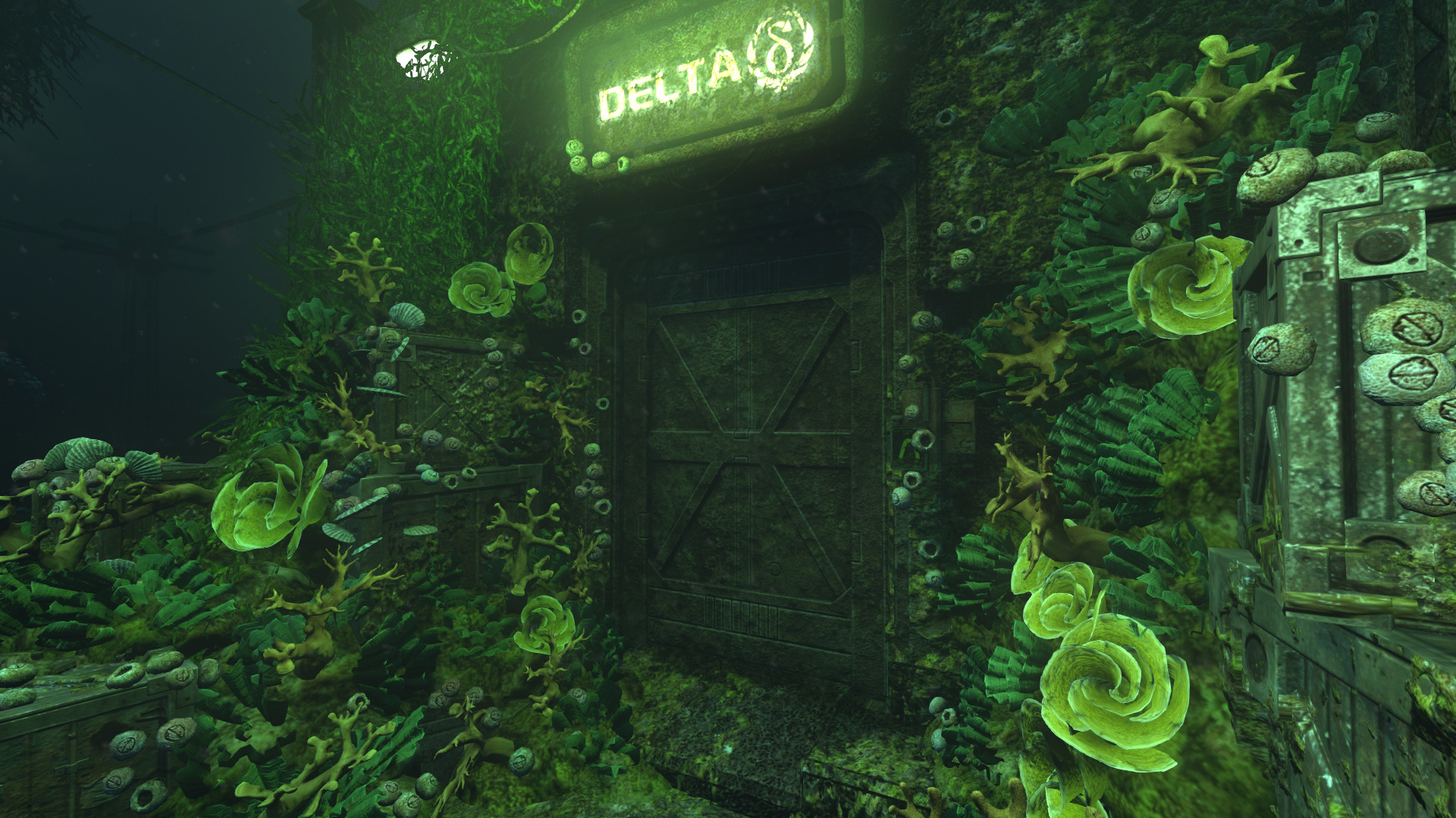 soma-18.jpg
