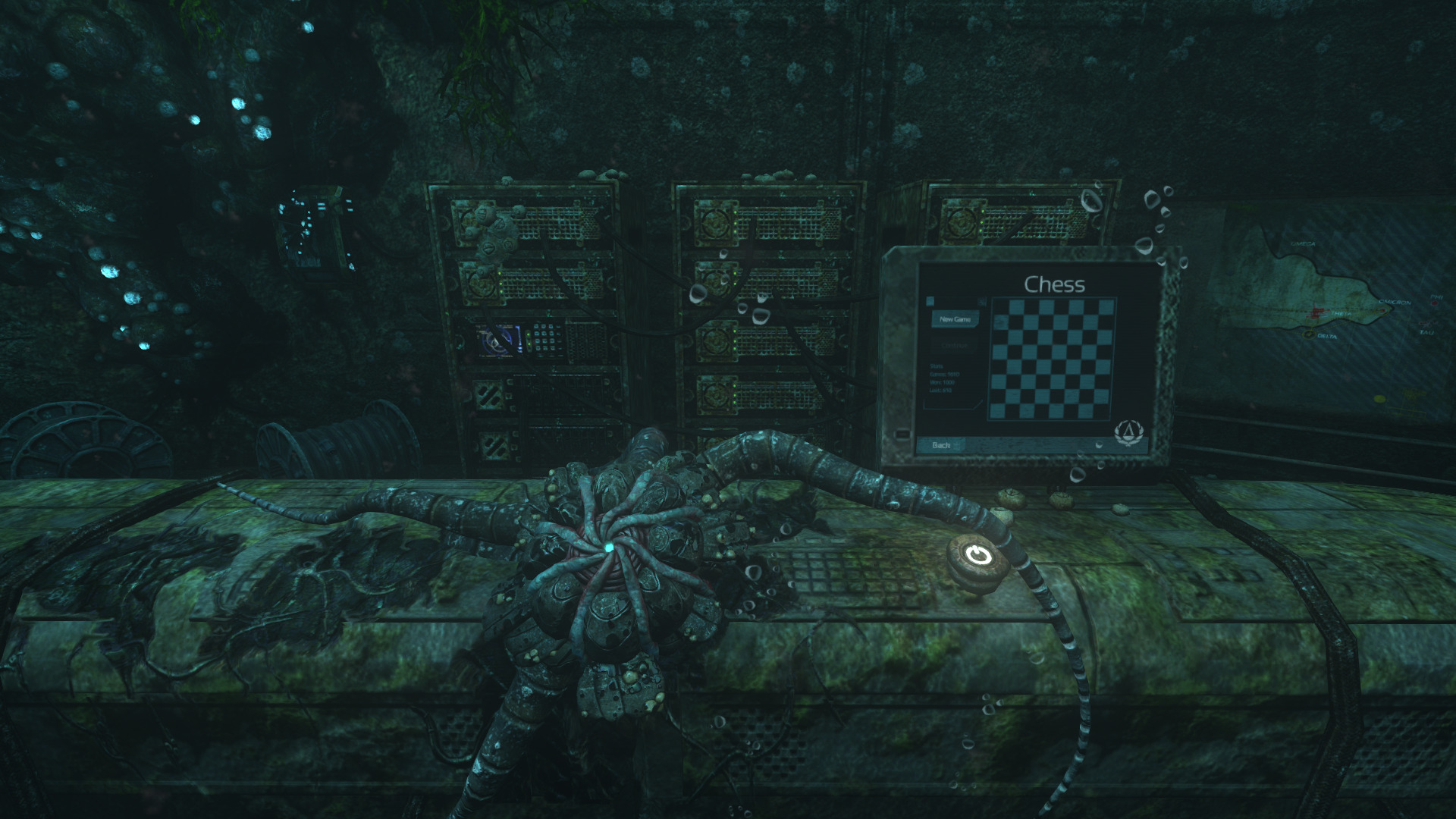 soma-20.jpg