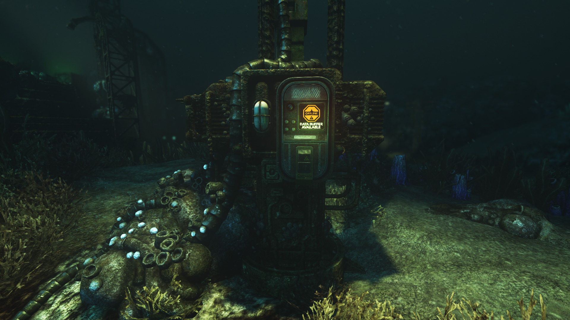 soma-23.jpg