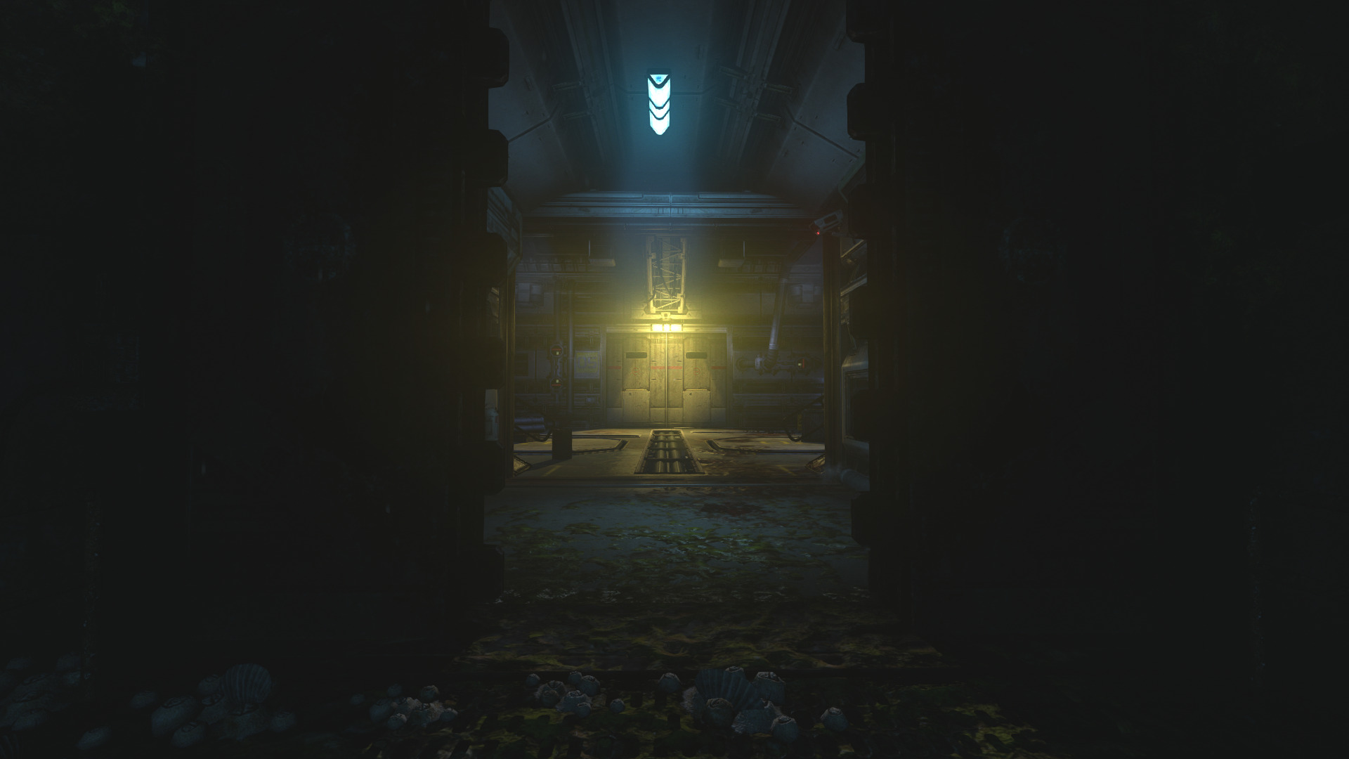 soma-24.jpg