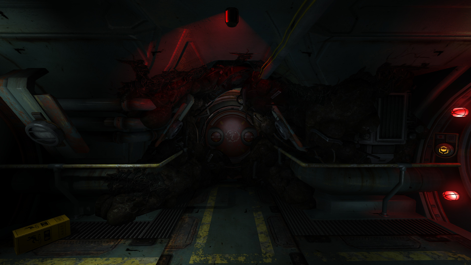 soma-45.jpg