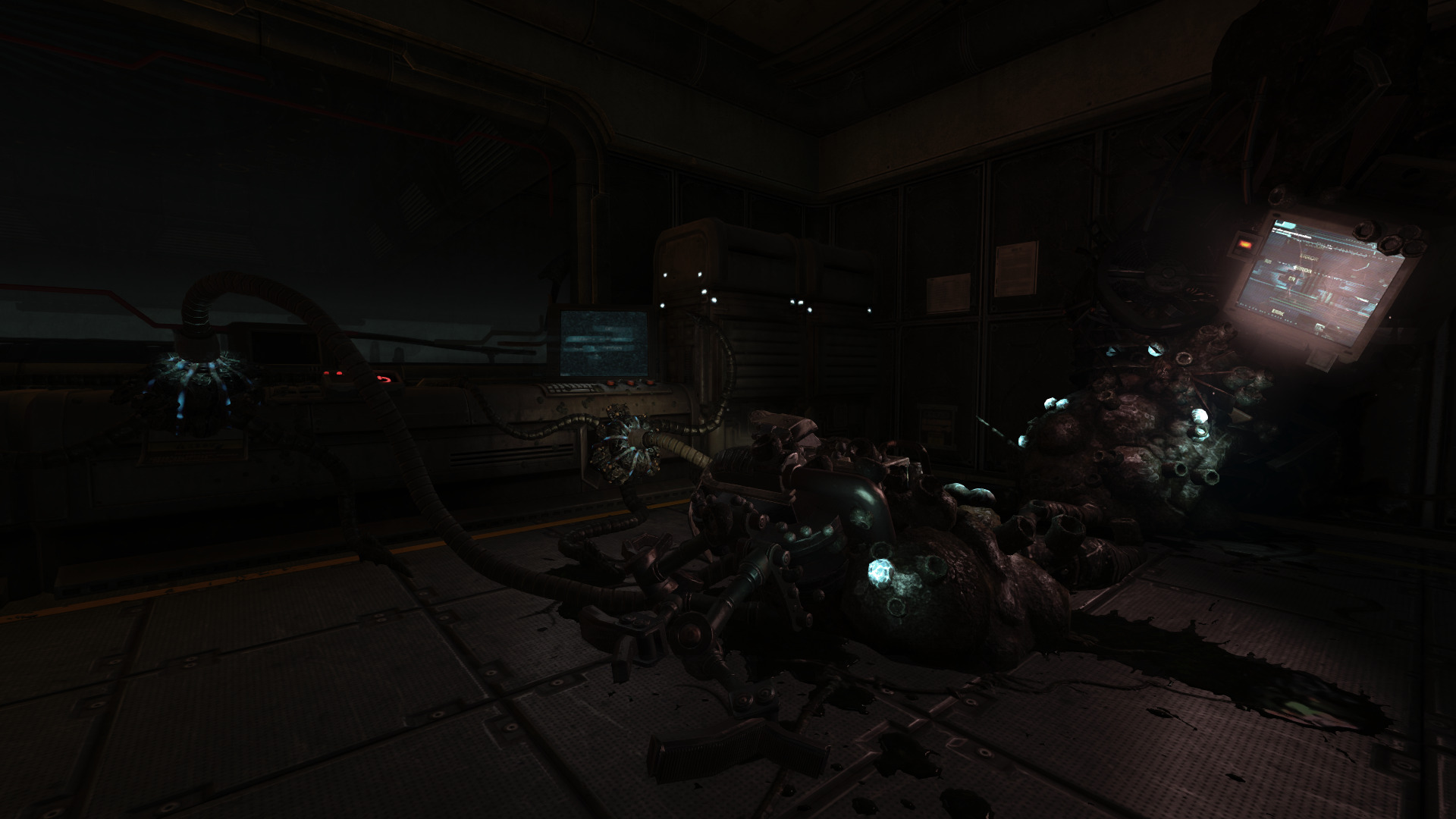 soma-5.jpg