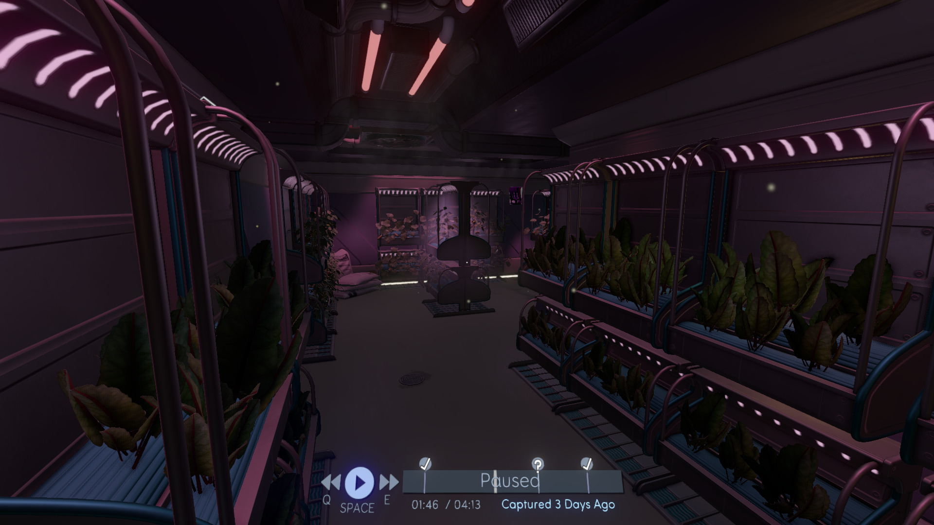 tacoma-15.jpg