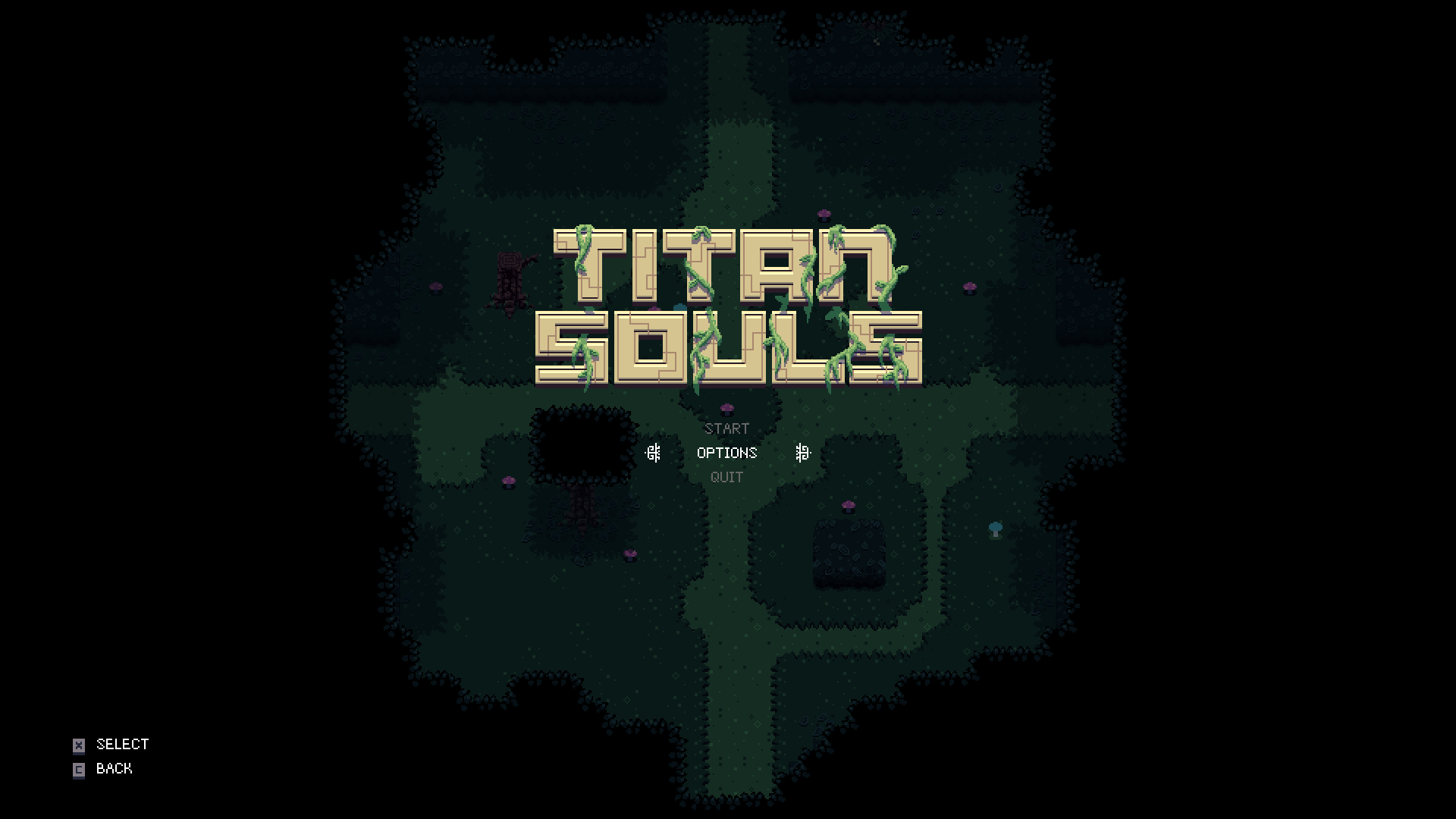 titansouls40.png