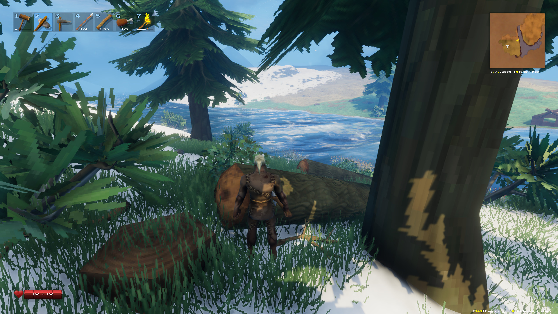 valheim-13.jpg