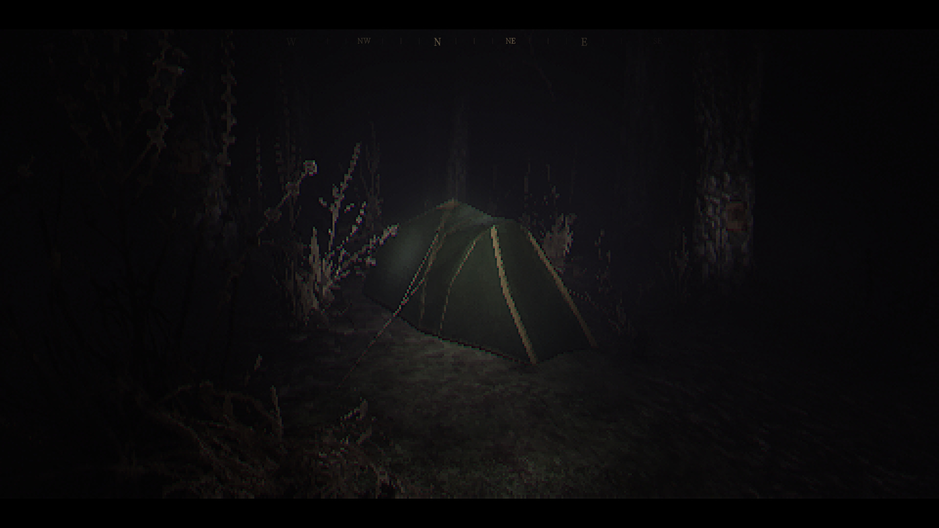 woods-0.jpg