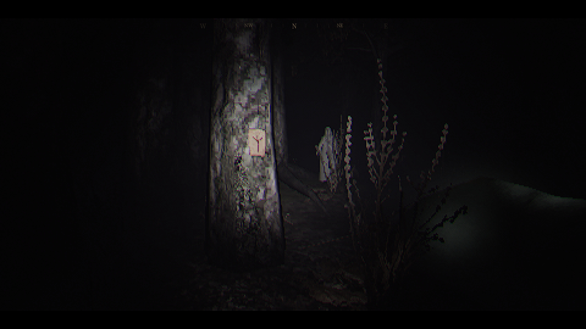 woods-6.jpg