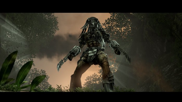 avp_title.jpg