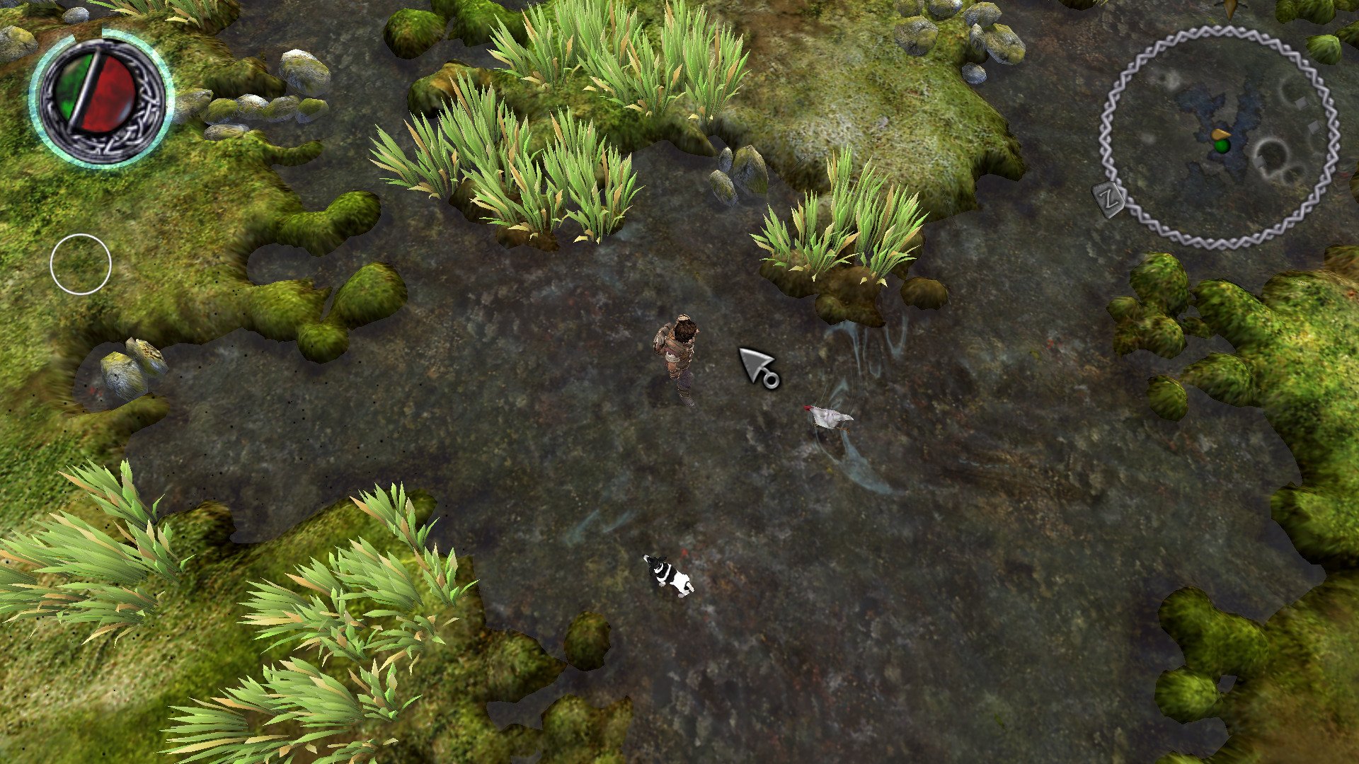 bard-10.jpg