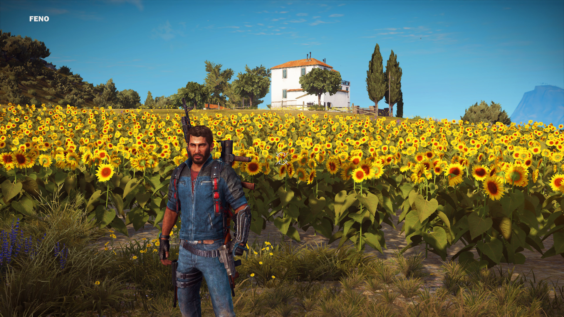 cause3-11.jpg