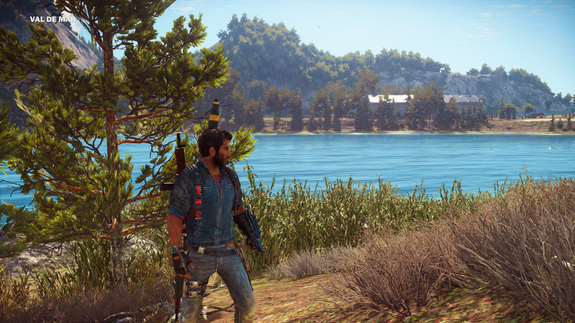 cause3-31.jpg