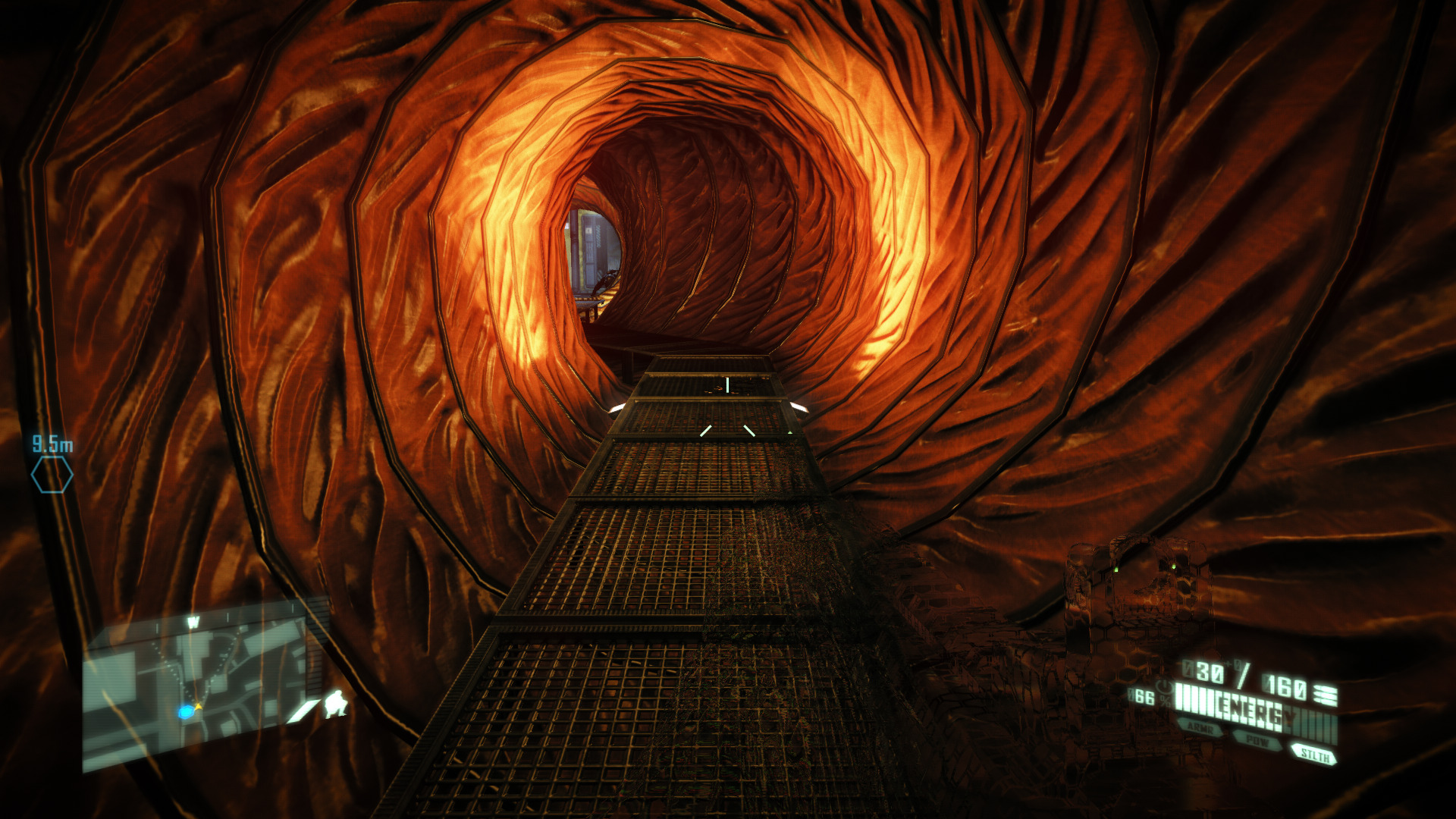crysis-10.jpg