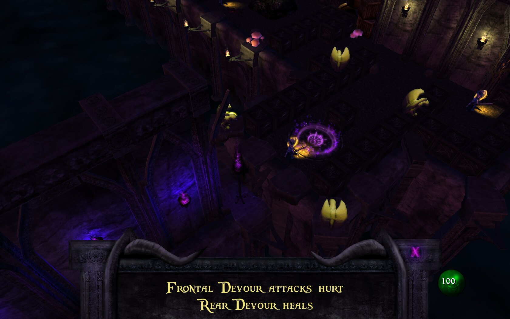 diety80.jpg