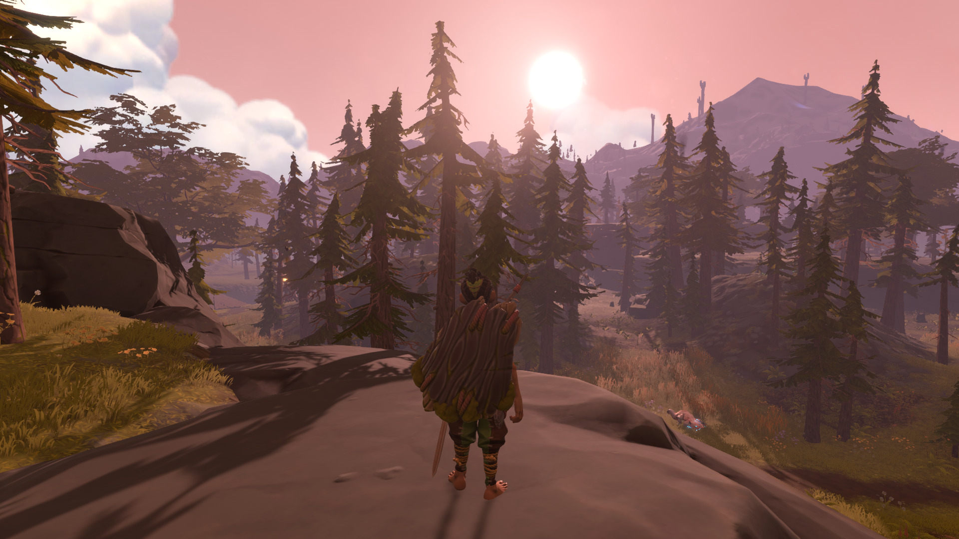 pine-12.jpg