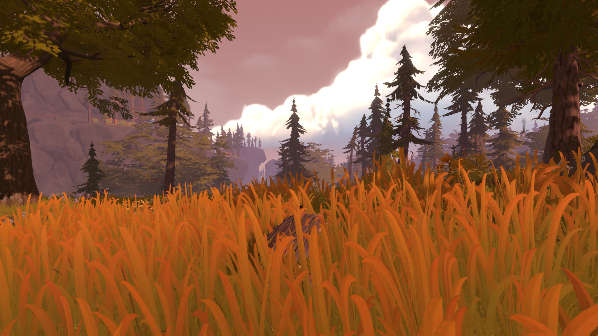 pine-13.jpg