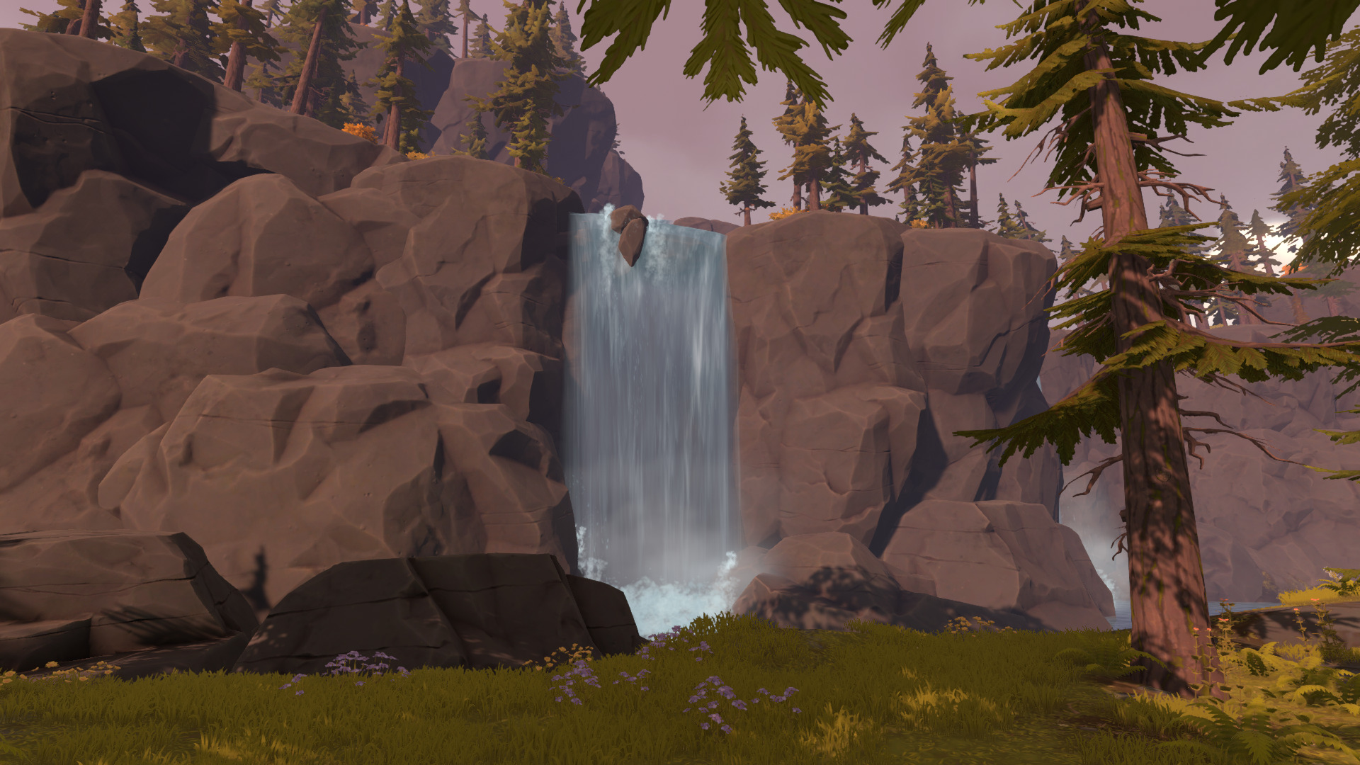 pine-14.jpg