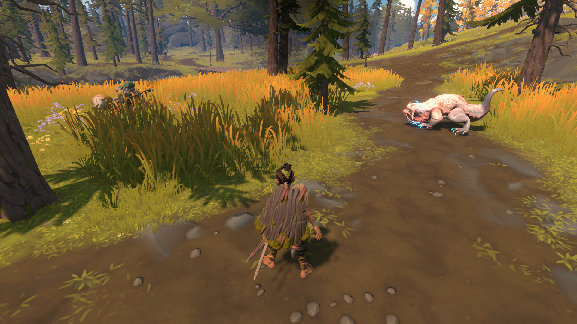 pine-16.jpg