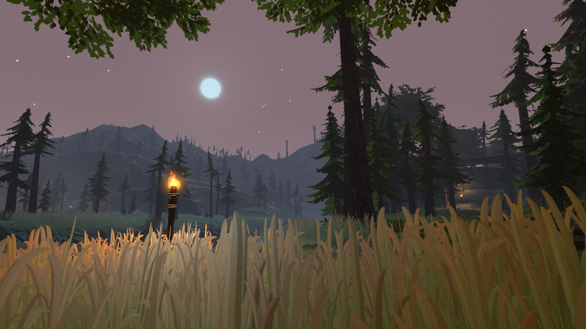 pine-19.jpg