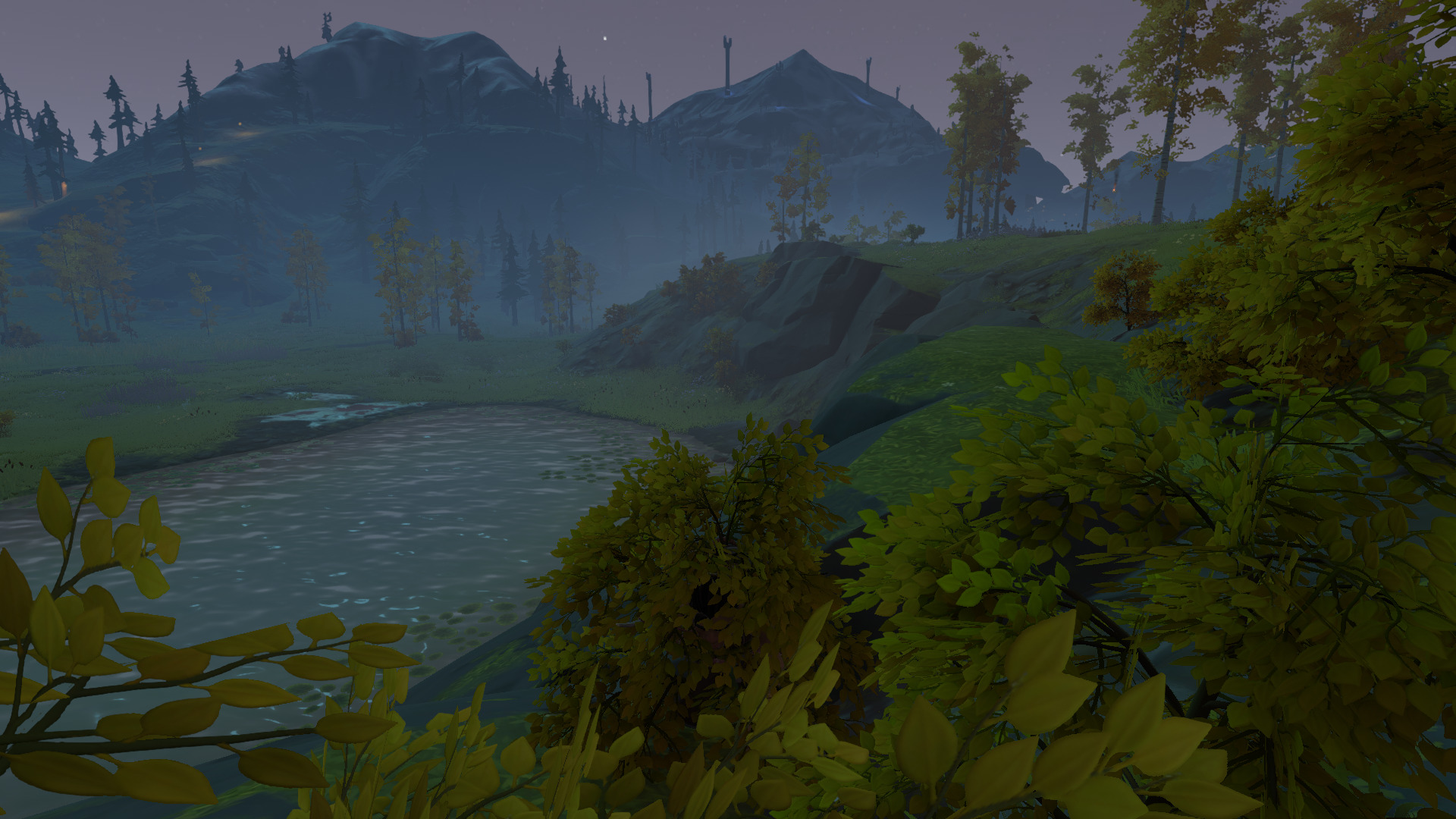 pine-21.jpg