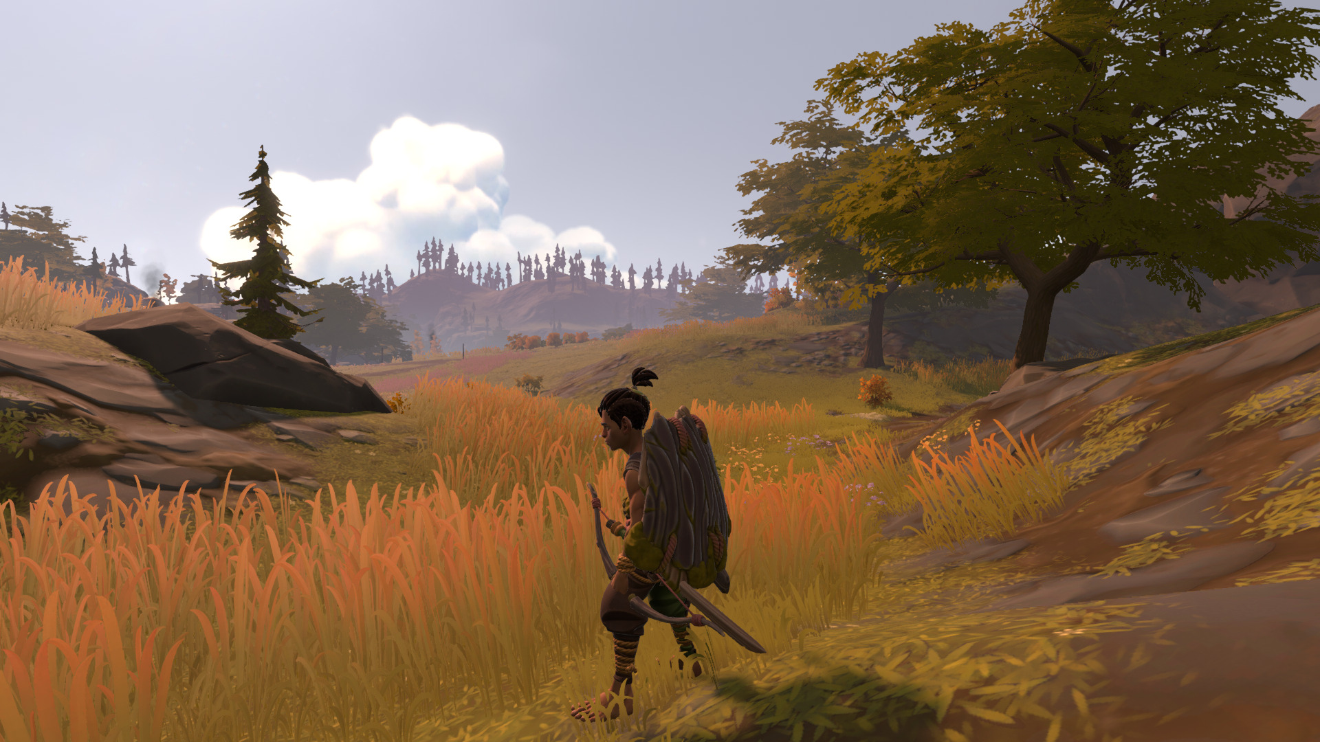 pine-25.jpg