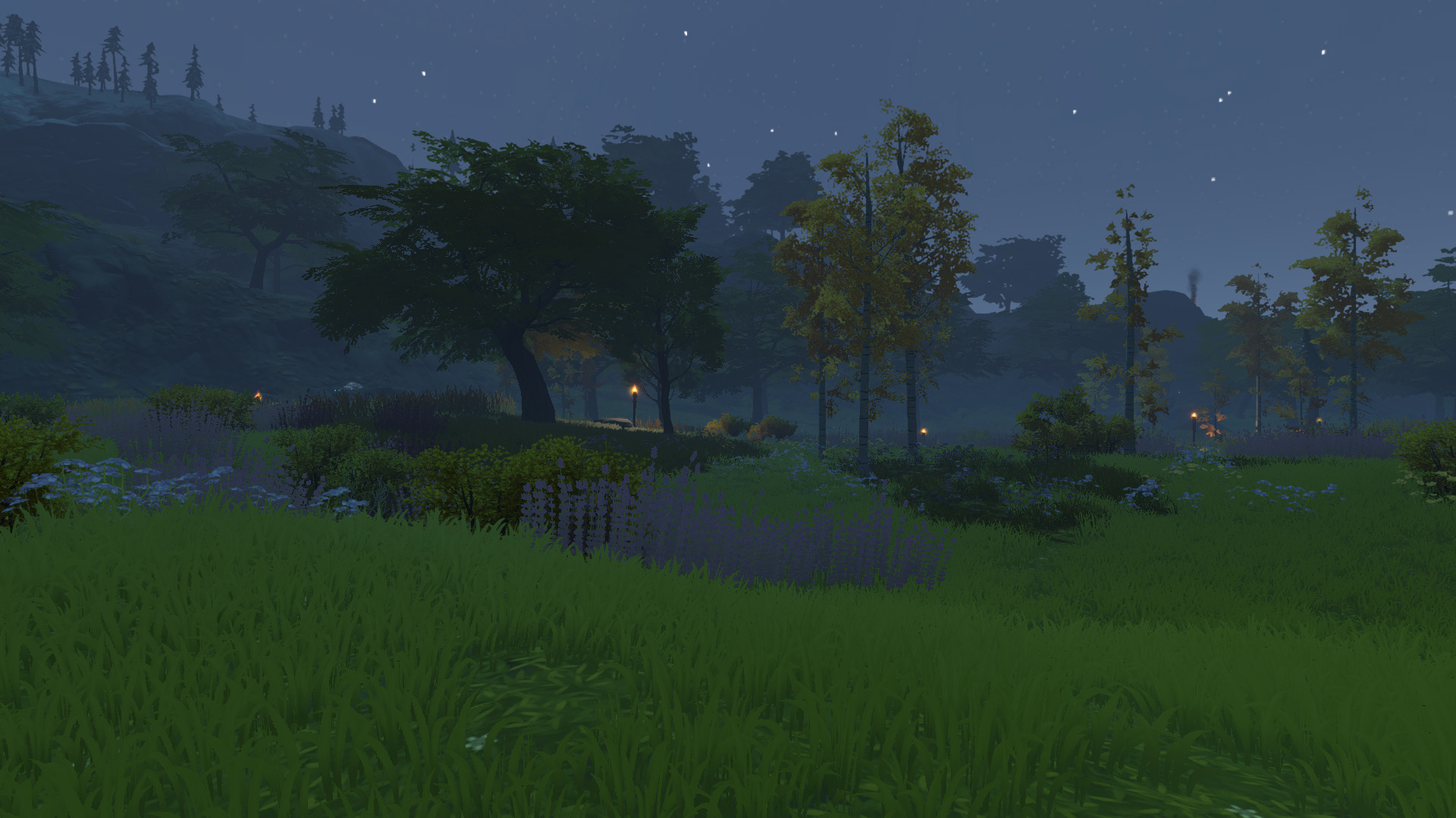 pine-28.jpg