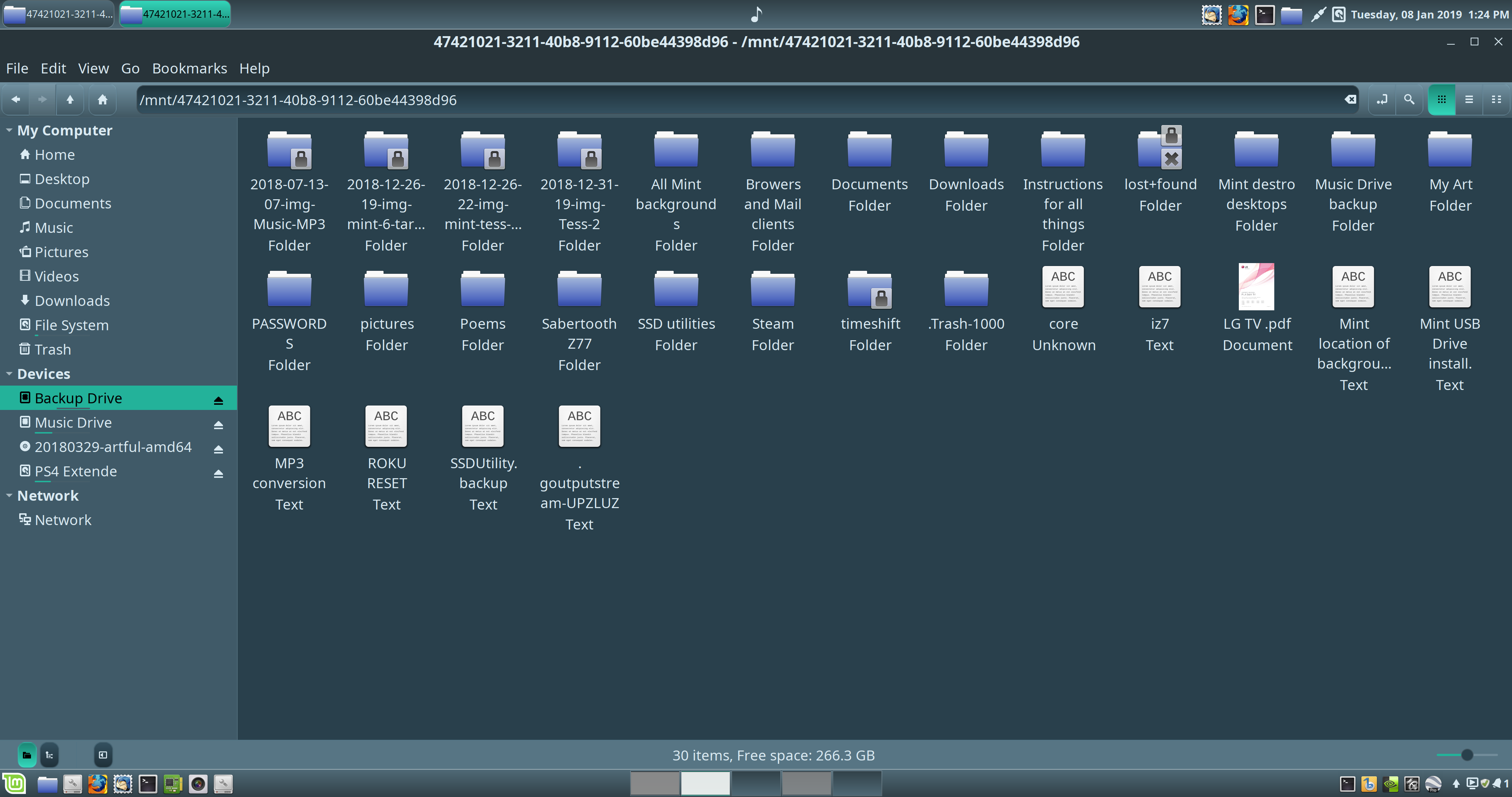 Screenshot from 2019-01-08 13-24-25.png