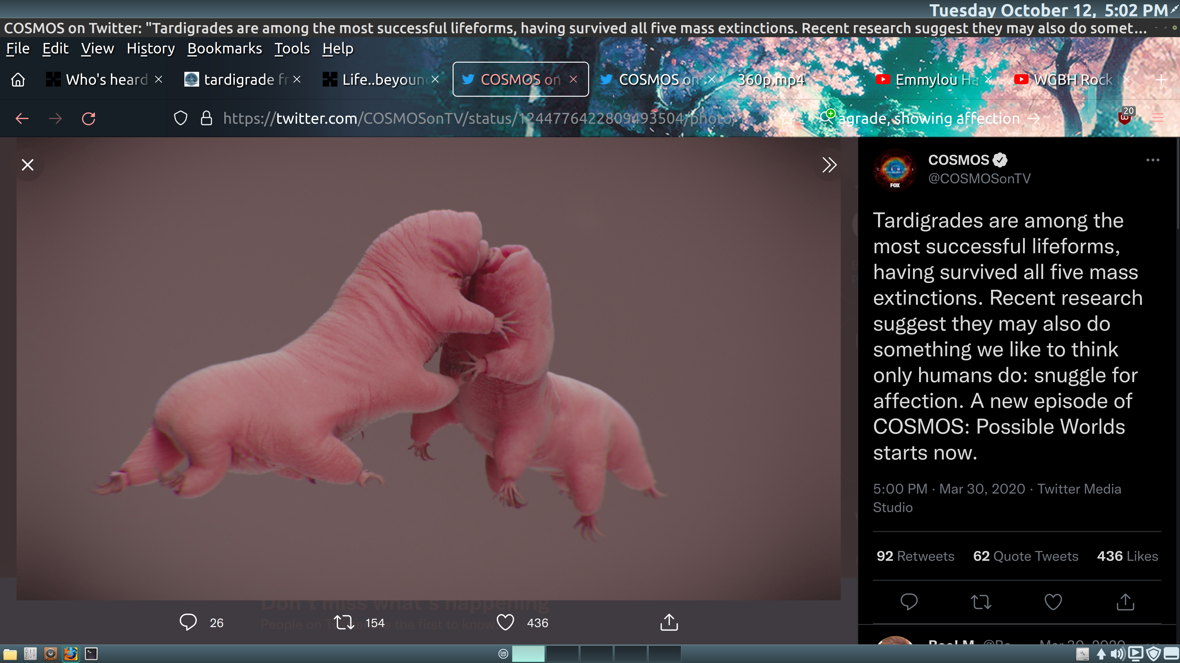 Screenshot from 2021-10-12 17-02-31.png